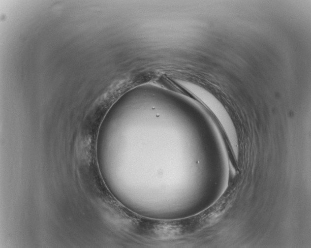 X0000060750319200511171129