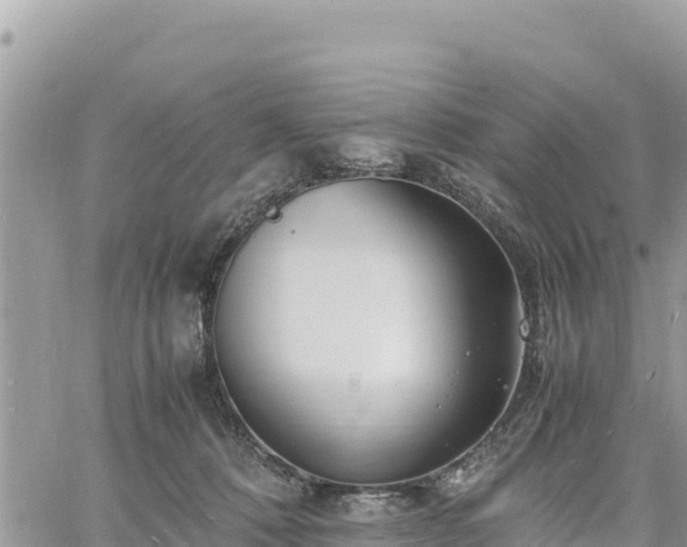 X0000060750320200511171129