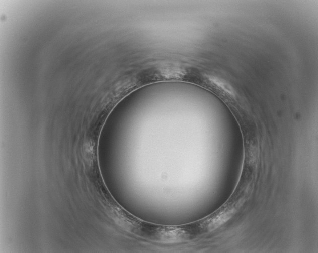 X0000060750321200511171129