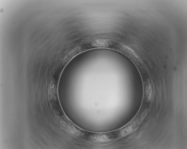 X0000060750322200511171129