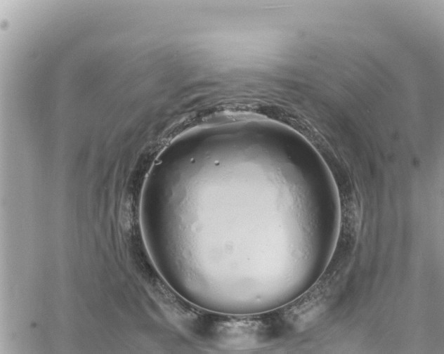 X0000060750323200511171129