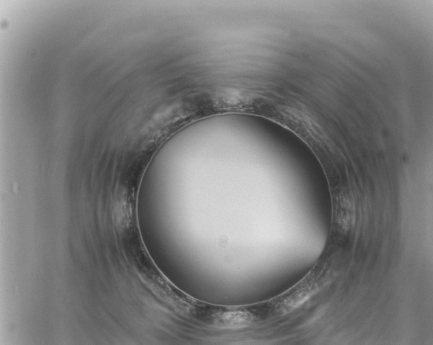 X0000060750324200511171129