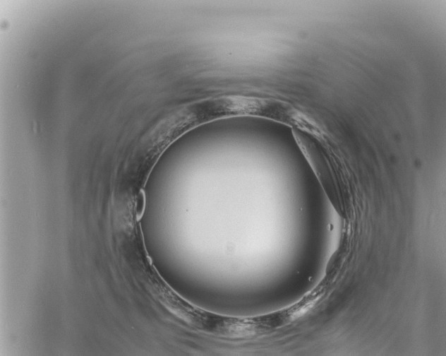 X0000060750325200511171129