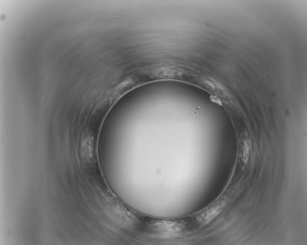 X0000060750326200511171129