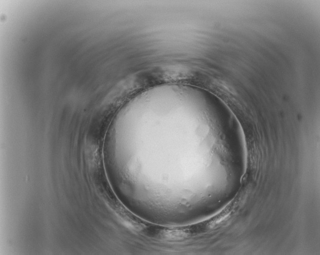 X0000060750327200511171129