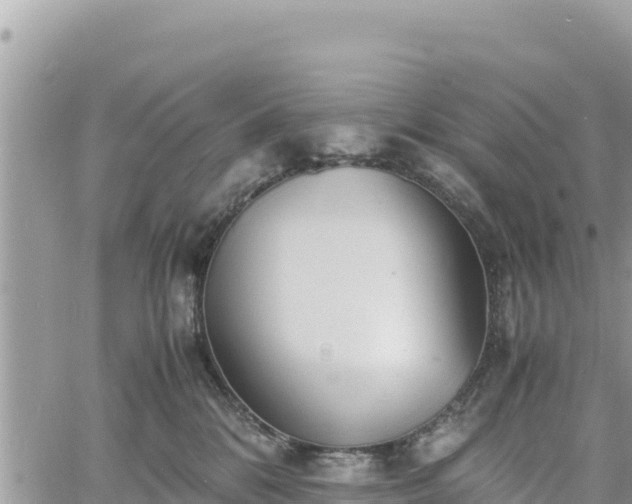 X0000060750328200511171129