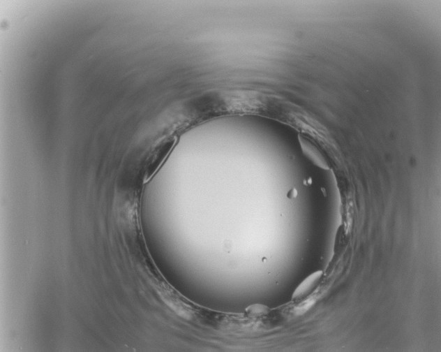 X0000060750329200511171129