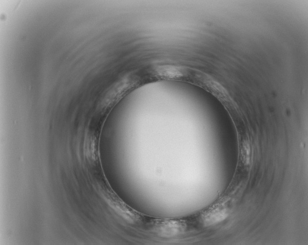 X0000060750330200511171129