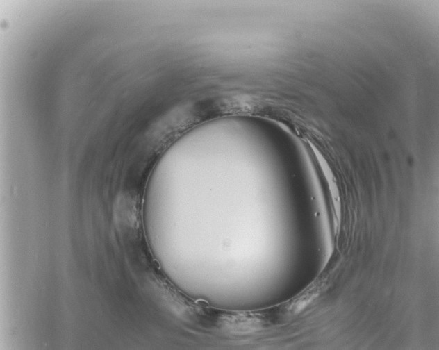 X0000060750331200511171129