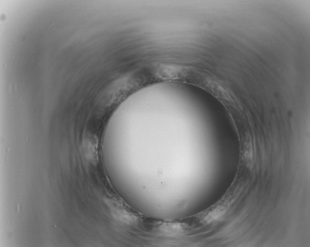 X0000060750332200511171129