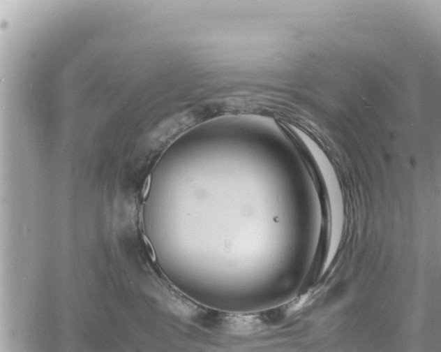 X0000060750333200511171129