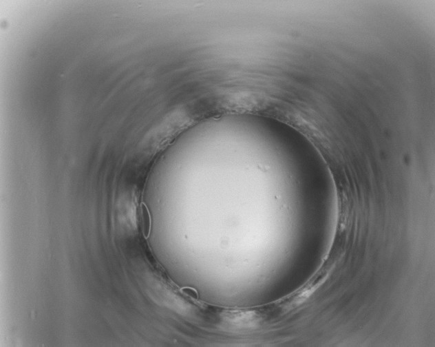 X0000060750334200511171129