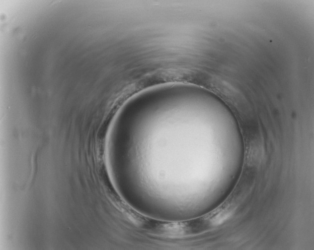 X0000060750335200511171129