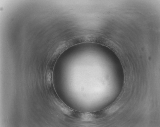 X0000060750336200511171129