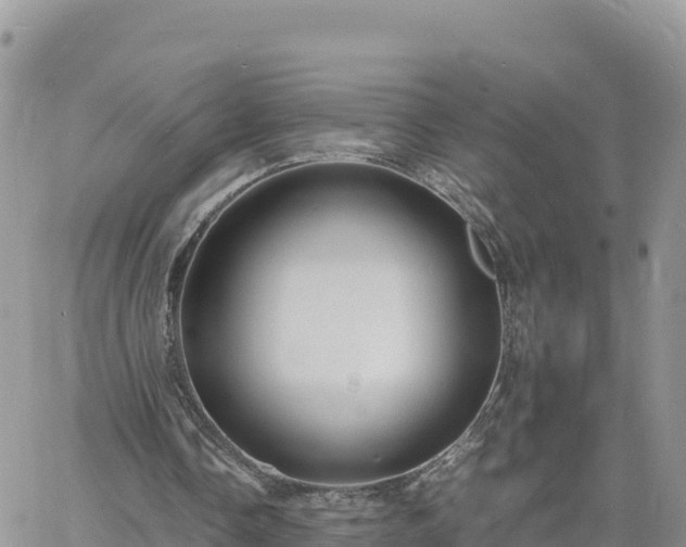 X0000060750338200511171128