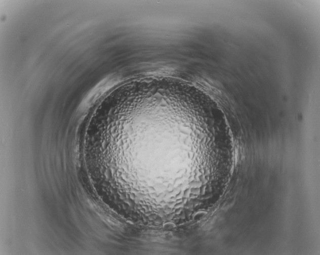 X0000060750339200511171128