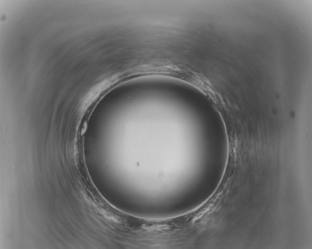 X0000060750340200511171128