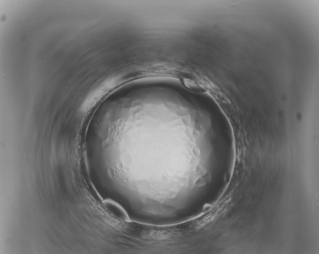 X0000060750341200511171128