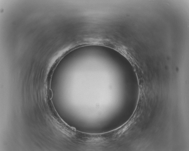 X0000060750342200511171128