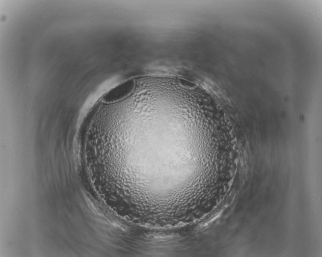 X0000060750343200511171128