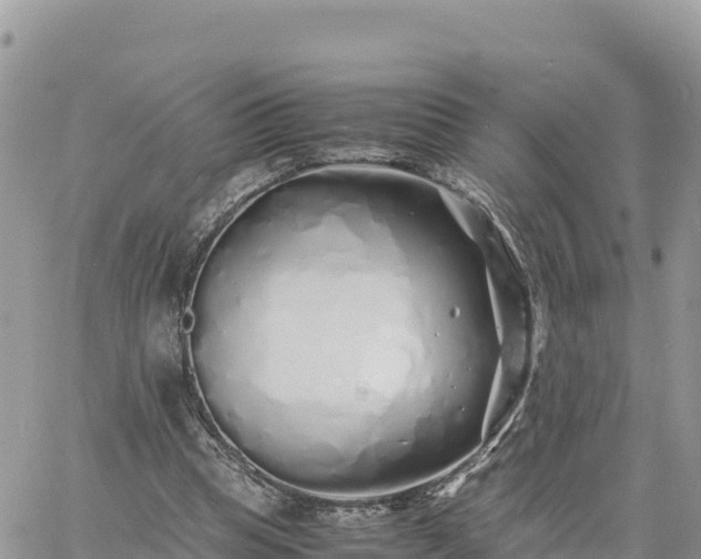 X0000060750345200511171128