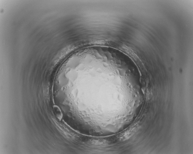 X0000060750346200511171128