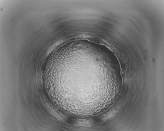 X0000060750347200511171128