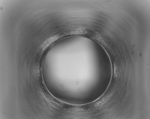 X0000060750348200511171128