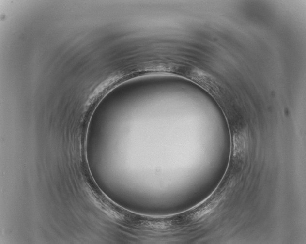 X0000060750349200511171128