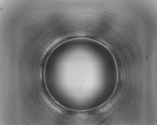 X0000060750350200511171128