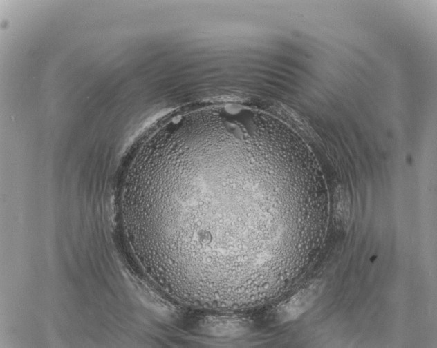 X0000060750351200511171128