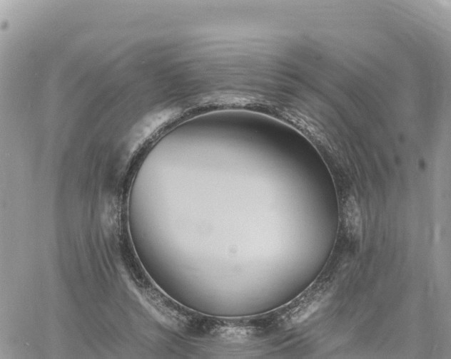 X0000060750352200511171128