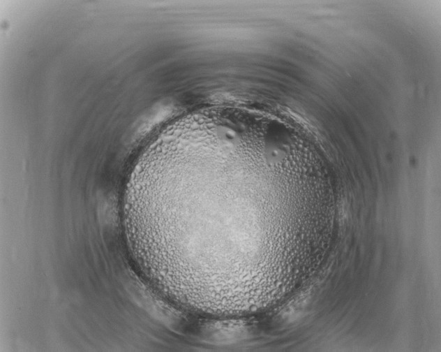 X0000060750353200511171128