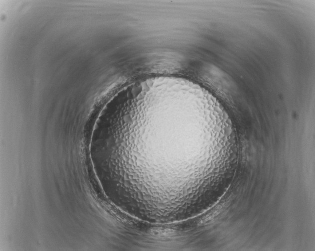 X0000060750354200511171128