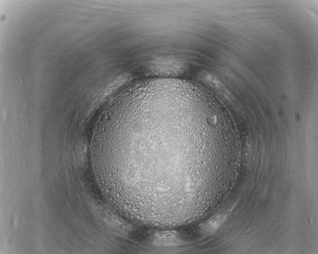 X0000060750355200511171128