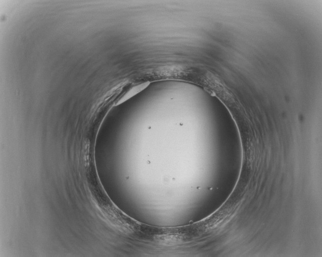 X0000060750356200511171128