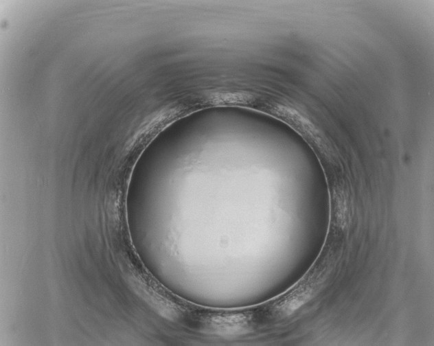 X0000060750357200511171128