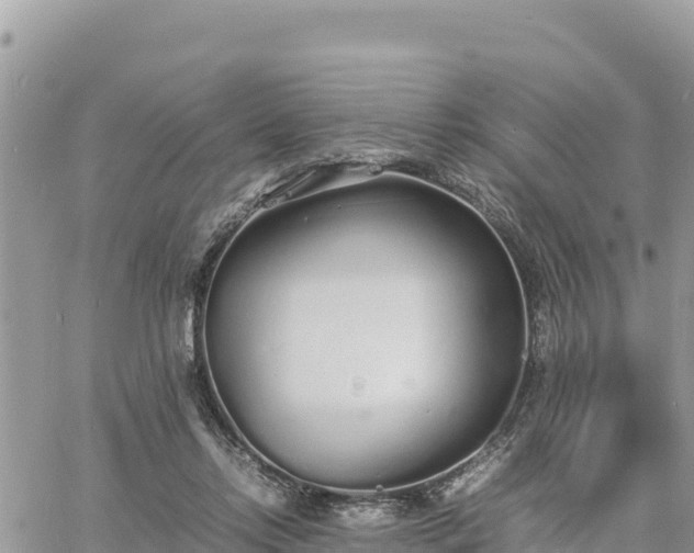 X0000060750358200511171128