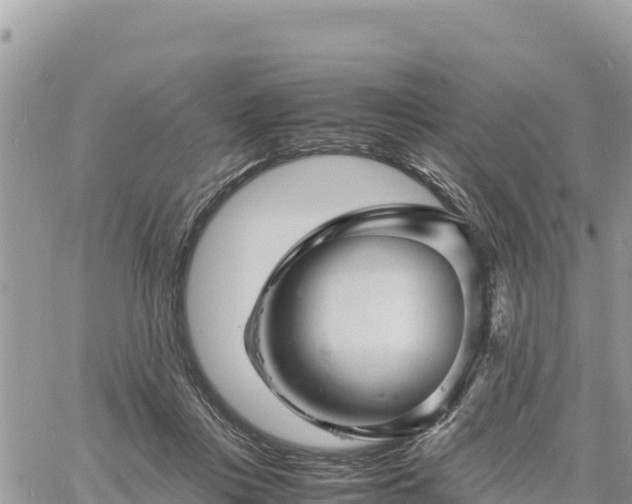 X0000060750359200511171128