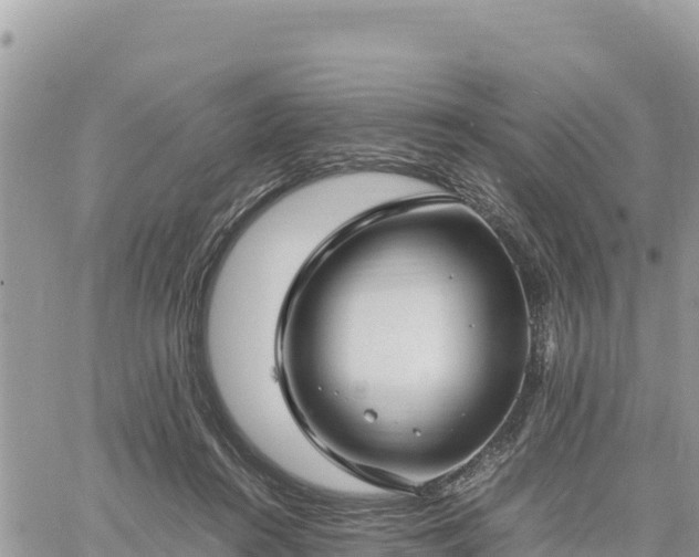 X0000060750360200511171128