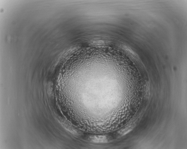 X0000060750361200511171128