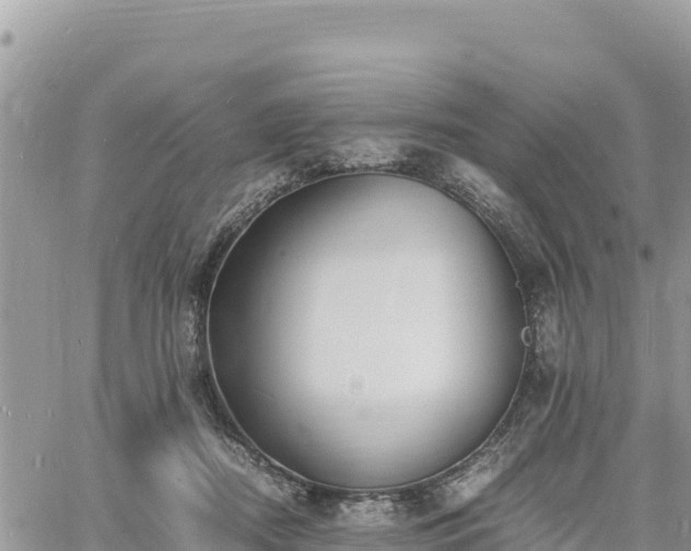 X0000060750362200511171128