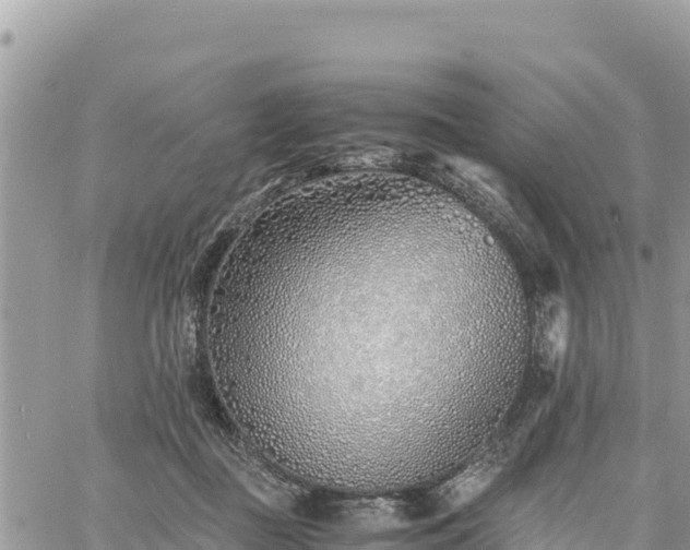 X0000060750363200511171128