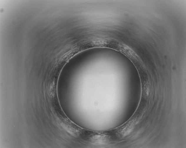 X0000060750364200511171128