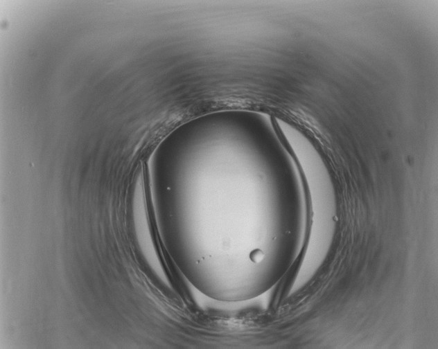 X0000060750365200511171128