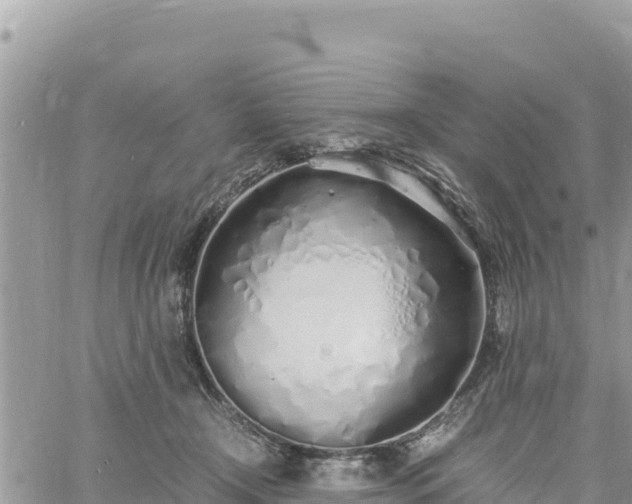 X0000060750366200511171128