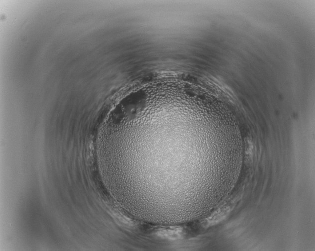 X0000060750369200511171129