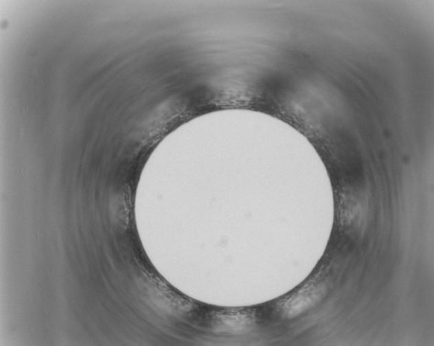 X0000060750370200511171129