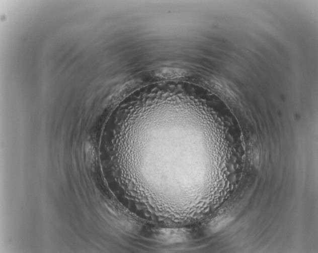 X0000060750371200511171129