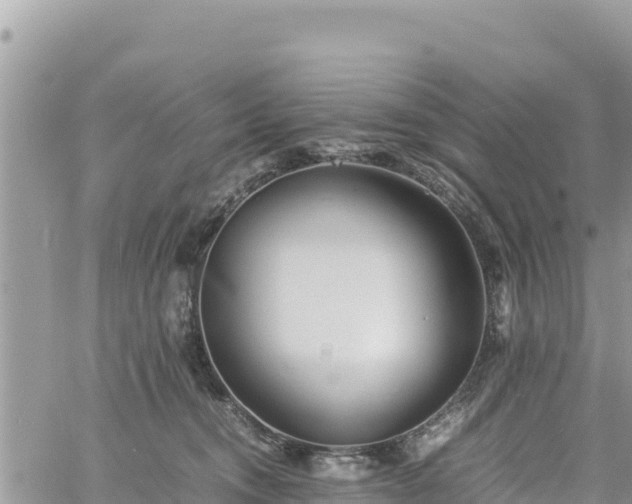 X0000060750372200511171129